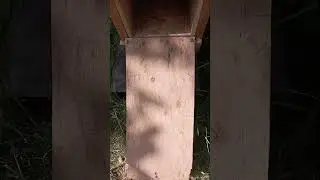 Кай 🐕 Рыбалка охота ягдтерьер🦡