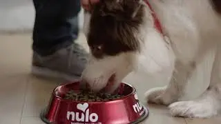 Nulo FreeStyle Limited Ingredient Plus Dog Food