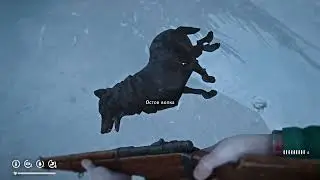 The Long Dark прохождение Часть 4