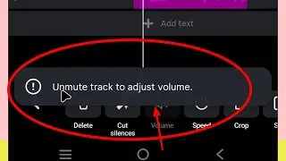 Unmute track to adjust volume Instagram Problem Kaise Thik Kare