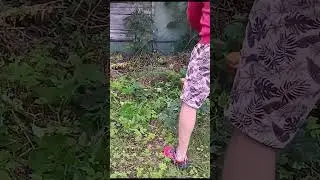 Как стрижёт триммер DEKO DKTR12 