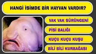 ZORLAYICI BİLGİ TESTİ | Kendini Test Et!