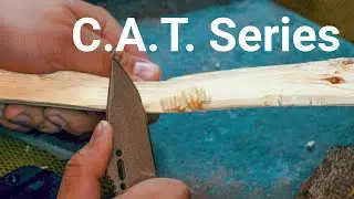TOPS  C.A.T. 200S-04, 203T-02, 202 WHEN IN DOUBT... PULL DOWN AND OUT