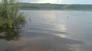 река Вятка