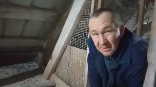 для тих, кому подобається *бухара*