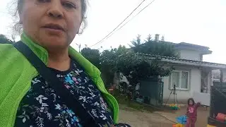 ALL MY MONEY WENT TO THIS HOUSE‼️‼️MUSHROOM IS AN EXCUSE, THE FOREST IS AMAZING‼️‼️