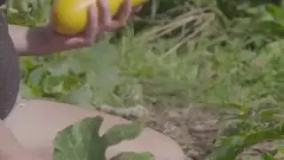 Насадка для бура лунок. Инструмент для садоводов ну или рыбаков