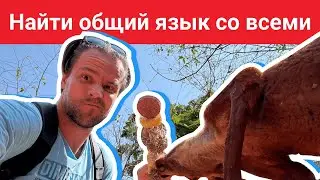 Находите общий язык со всеми