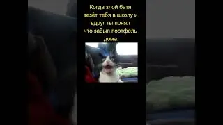 Пипец 
