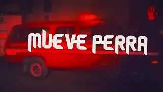 HOCICO - SEXO BAJO TESTOSTERONA