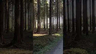 Релакс