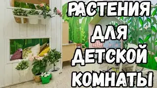 БЕЗОПАСНЫЕ И ПОЛЕЗНЫЕ РАСТЕНИЯ ДЛЯ ДЕТСКОЙ КОМНАТЫ
