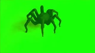 Spider Moving Animation green screen