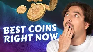 Top Altcoins to Add to Your Portfolio 2024