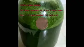 ЛЕЧЕНИЕ СОКОМ ЛОПУХА!!!