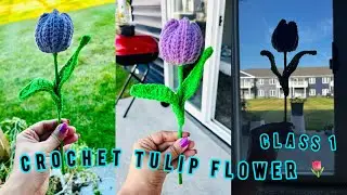 Crochet Tulip Flower Live Class 1