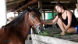 #TeamHorse