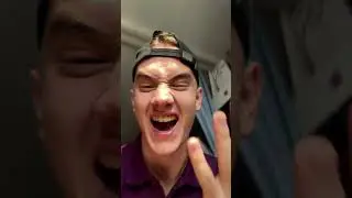 ПАНДОЧКА ЛЫСАЯ ?