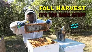 Fall Honey Harvest S8E31 #beekeeping
