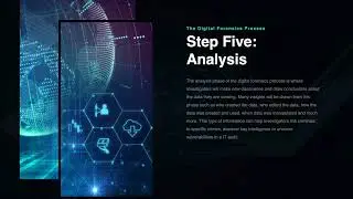 The Digital Forensics Process