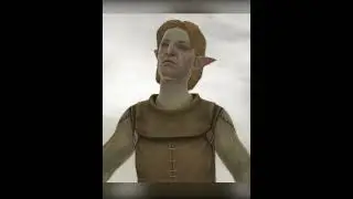 Sarcasm in Dragon Age 