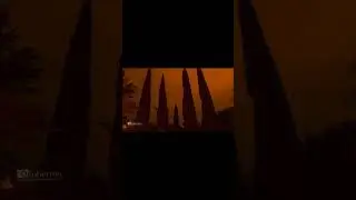 Una de las noches más bonita que recuerdo en 
