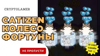 Catizen появилось колесо фортуны. Не пропусти Удачу!