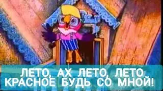 Лето, ах лето, лето красное будь со мной! Попугай Кеша в деревне 😄