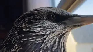 How Close is too Close?