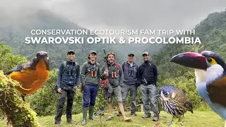Conservation Ecotourism: Andean Fam Trip With Swarovski Optik & ProColombia