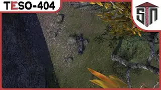 TESO [404] - Пьяный Подберёзовик и продолжение Эльсвейра =)
