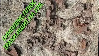 СИМПЛЕКС НЕПЕРЕСТАЁТ УДИВЛЯТЬ