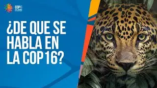 ¿Cuáles son los principales temas de la COP16 2024?