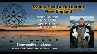 Sea Duck Hunting Cape Dod MA - Capt. Mel True