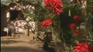 Cuba, Trip to Escambrai Mountain - TV Traveller