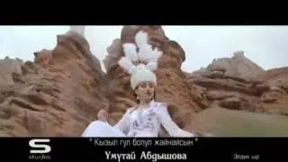 Умутай Абдышова клип Кызыл гул болуп жайнайсын