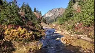 Stream on Rampart Ridge
