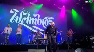 Wolfgang Ambros - Da Hofa & Die Blume aus dem Gemeindebau [Live 2024]