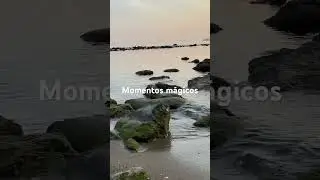 Fotografiando momentos únicos en sitios increíbles