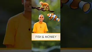 Competition between Fish and Monkey | Gauranga Darshan Das