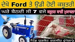 ਦੇਖੋ Ford ਤੇ ਉਡੀ ਹੋਈ ਕਬੂਤਰੀ ਘਰੇ ਵੀ,7, ਦਾ ਟਾਈਮ ਕਰਦੀ ਸੀ। KABOOTAR BAZI LIVE