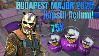 I opened 75 Budapest Capsules in CS2 | Why shouldn't we open capsules?