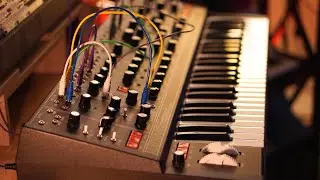 Moog Matriarch // 5 Ambient Patches [no talking]