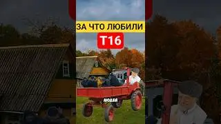 T16 - WHY WE LOVED THE 