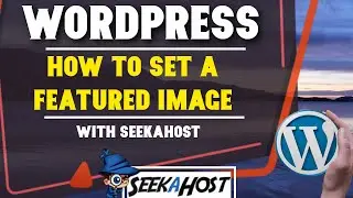 How to Set a Featured Image on Your WordPress Blog
