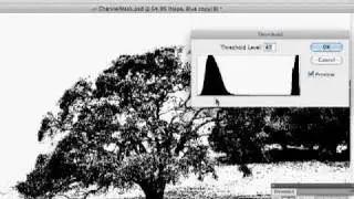 Photoshop CS5 Tutorial - Introduction to Alpha Channels and Layer Masks