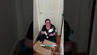 Sarah's Custom Cat Lookalike Unboxing | MyPetsies©