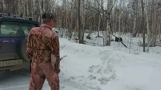 Пришел крупный медведь 29 апреля 2022