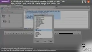 Caat / Задание 3. Видео монтаж Avid Media Composer 8.7