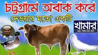 ফটিকছড়ি জামিয়া ইসলামিয়া ওবাইদিইয়াতে অবাক করার মতো একটি খামার । ওবাইদিয়া মাদ্রাসা । Obaidia Nanupur ।